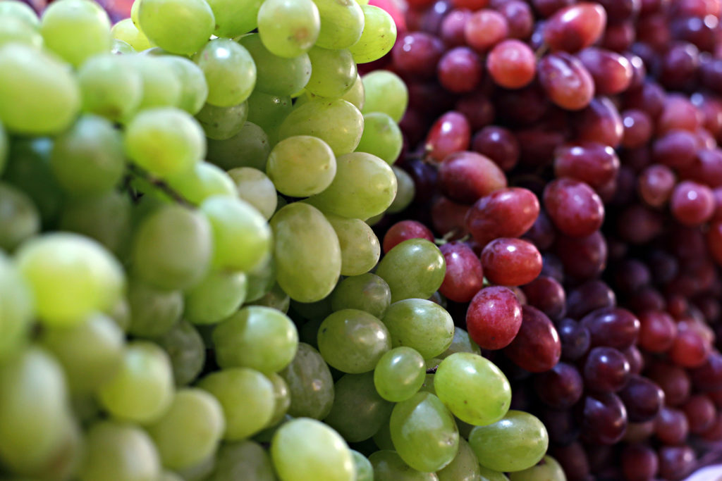 Healthy fruits Red wine grapes background/ dark grapes/ blue grapes/wine grapes,Red wine grapes background/dark grapes,blue grapes,Red Grape in a supermarket local market bunch of grapes ready to eat; 