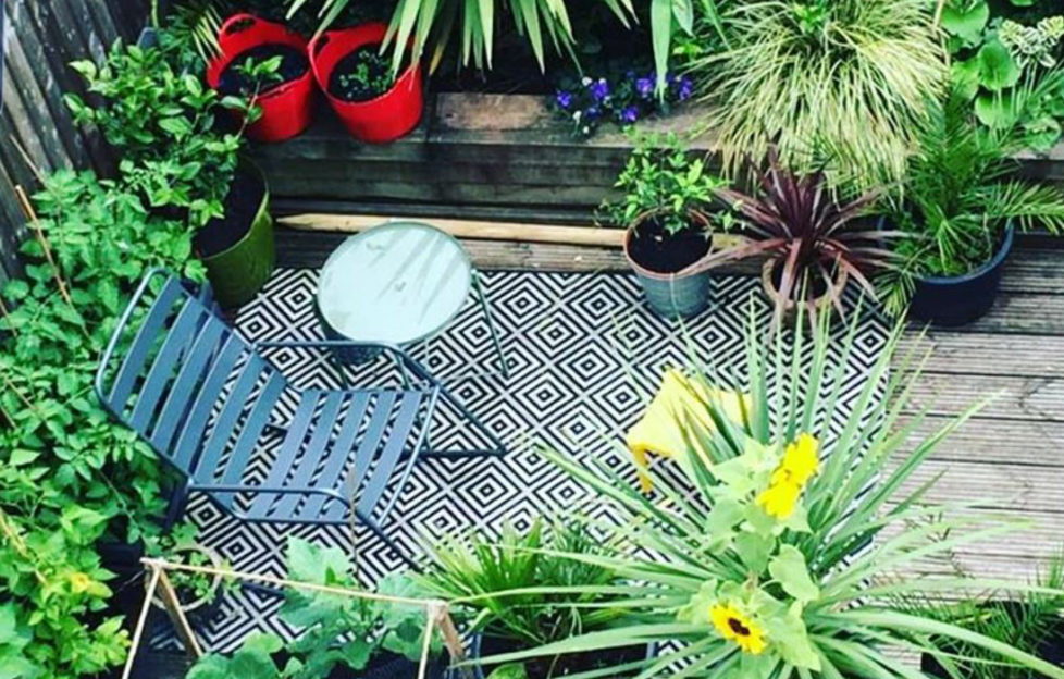 View from above small garden on decking, see tiny gardens section