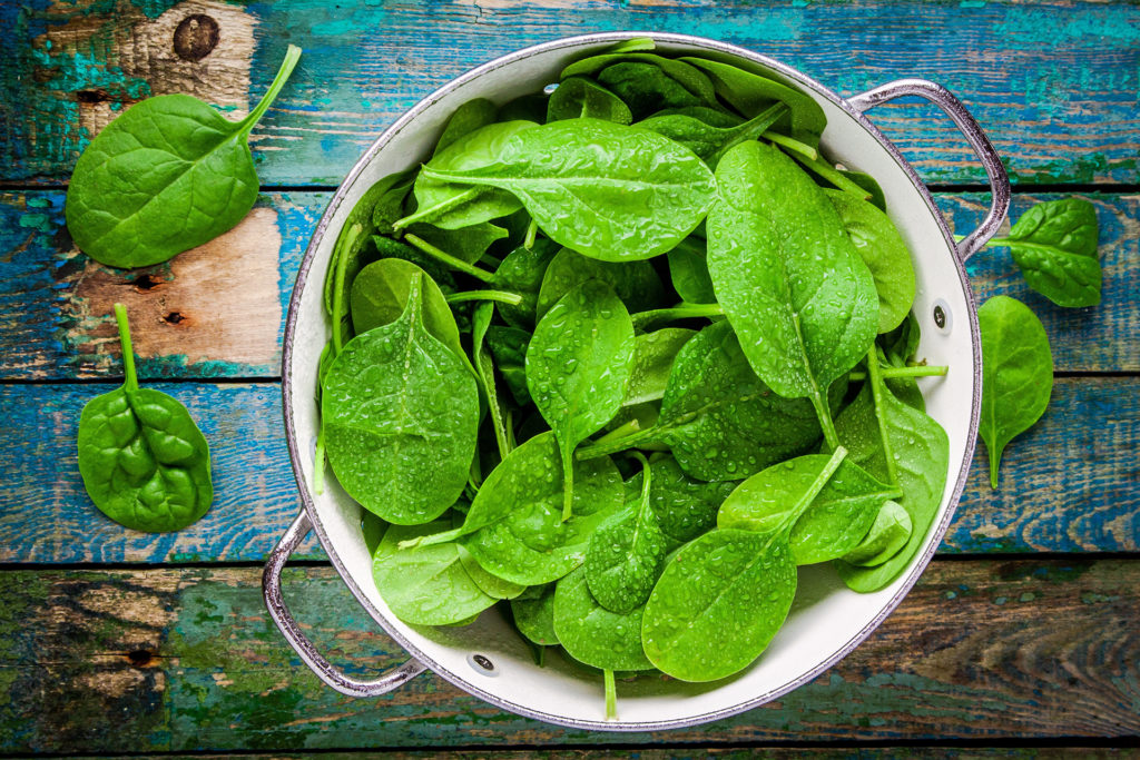 raw fresh spinach with drops in a colander on a rustic wooden table; 