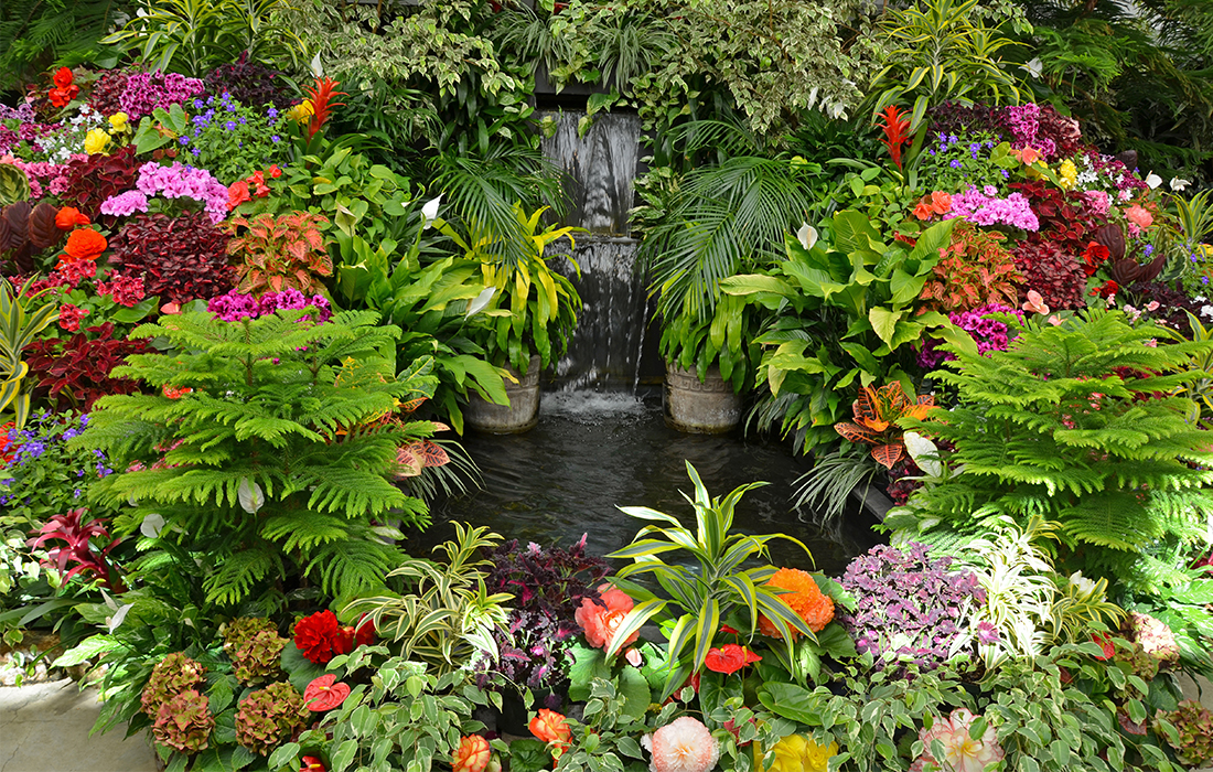 10 Tropical Ideas To Make Your Garden An Exotic Oasis - My Weekly