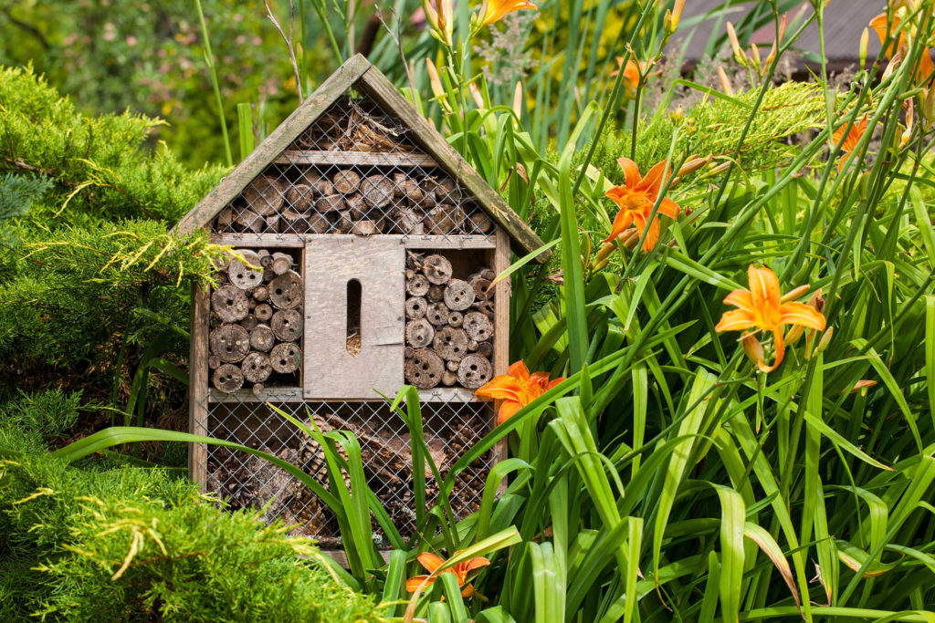 Bird hotel