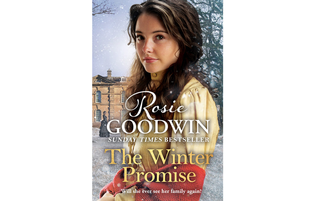 The Winter Promise cover