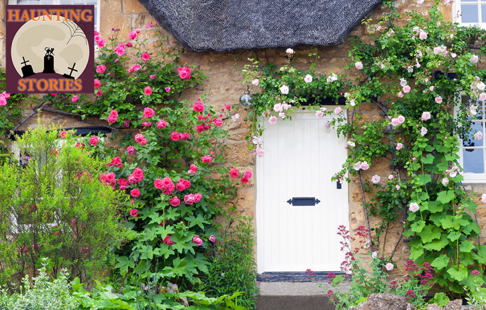 Cottage with white wooden door and climbing roses