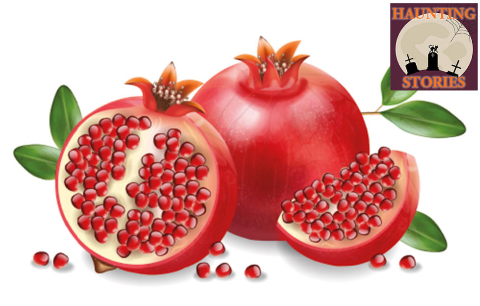 Illustration of 2 pomegranates, one cut to show seeds