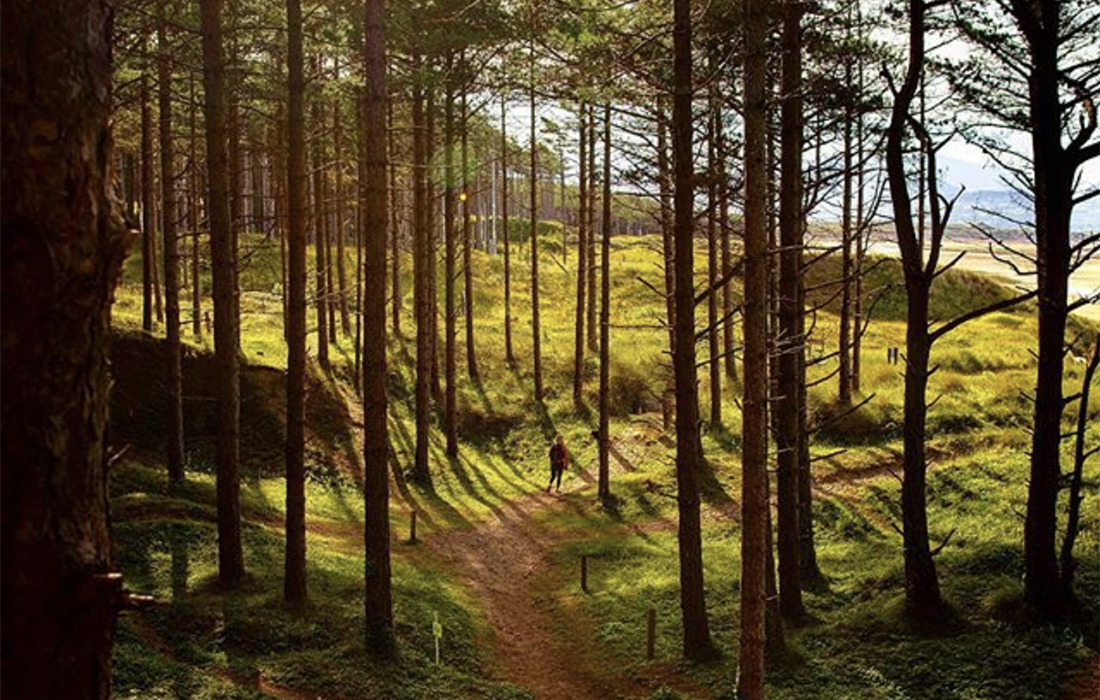 Hidden Gems Of The British Countryside - Vimarsana News
