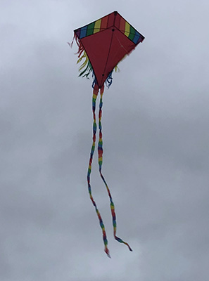 A kite