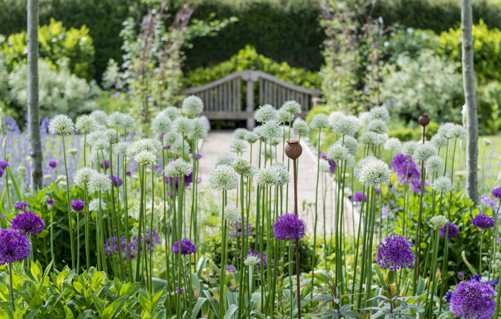 Ordnance House Gardens