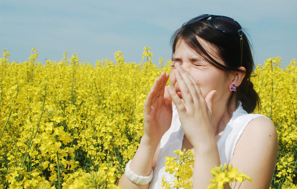Pollen allergy, girl sneezing in a field of flowers;