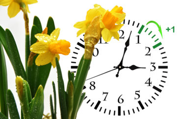 Clock going forward with daffodils