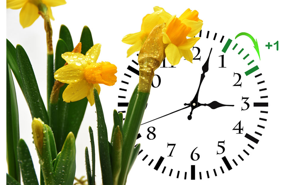 Clock going forward with daffodils