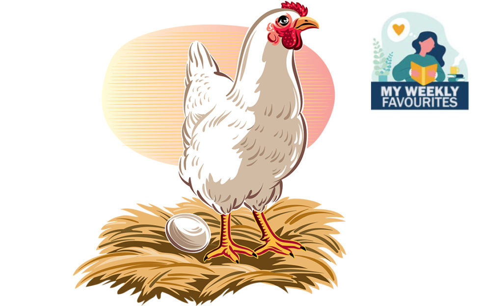 A hen on nest with egg Illustration: Shutterstock