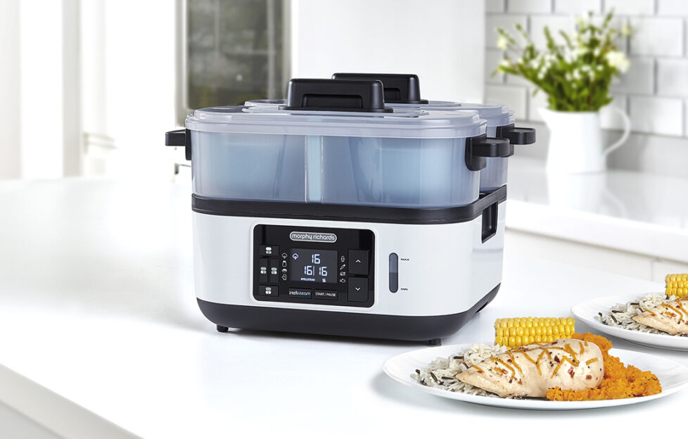 Morphy Richards Plastic Intellisteam