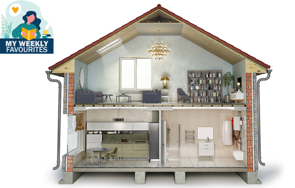 Cross section of modern house in the style of a dolls house with fitted kitchen, large bookcase and drainpipes