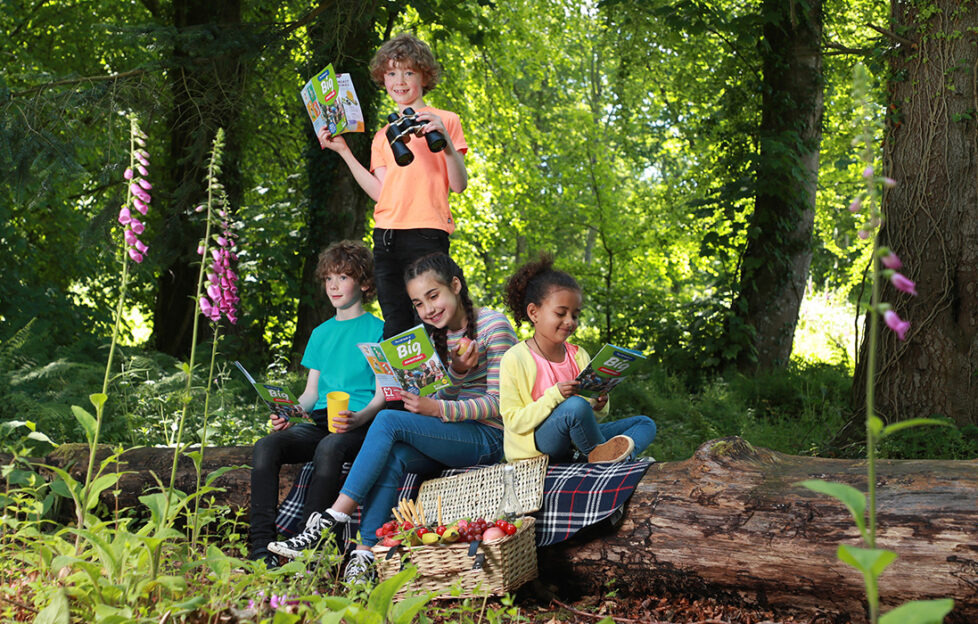 : Lidl Book of Big Adventures at Culzean Castle, Maybole, South Ayrshire. Picture by Stewart Attwood