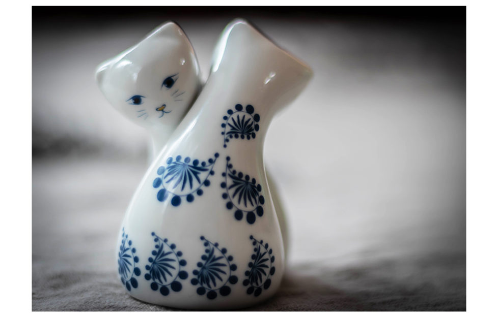 Salt and pepper cats Pic: Shutterstock