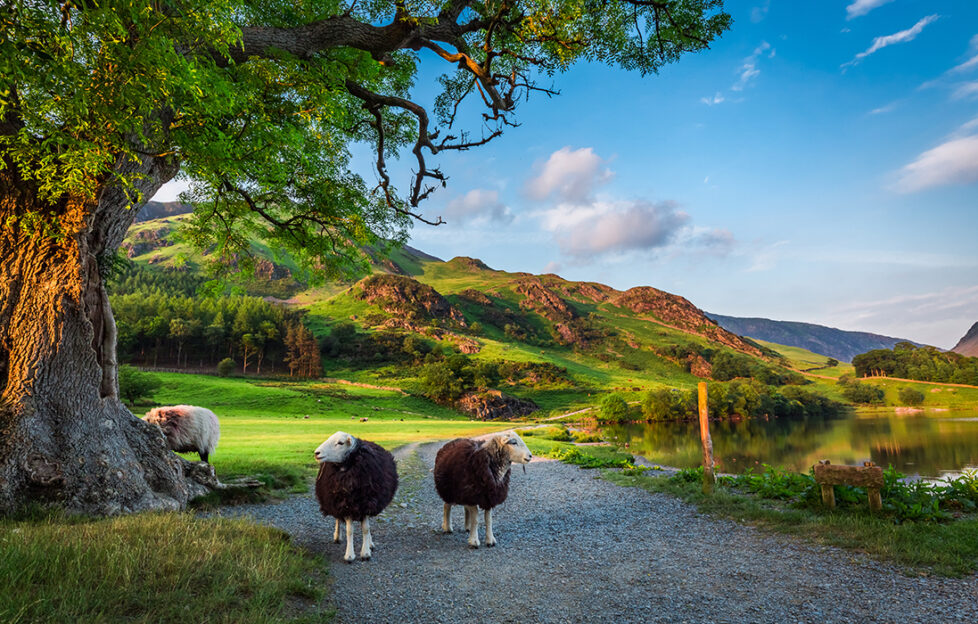 Scenic view Lake District