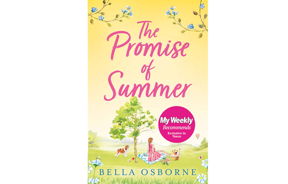 The Promise of Summer book cover