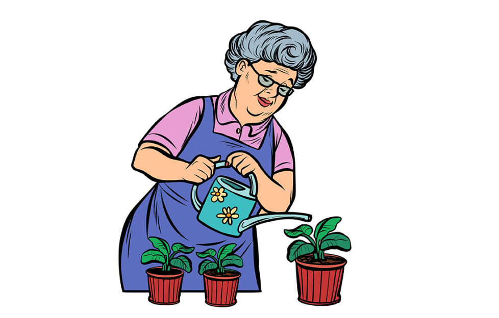 mature lady watering plants Illustration: Shutterstock