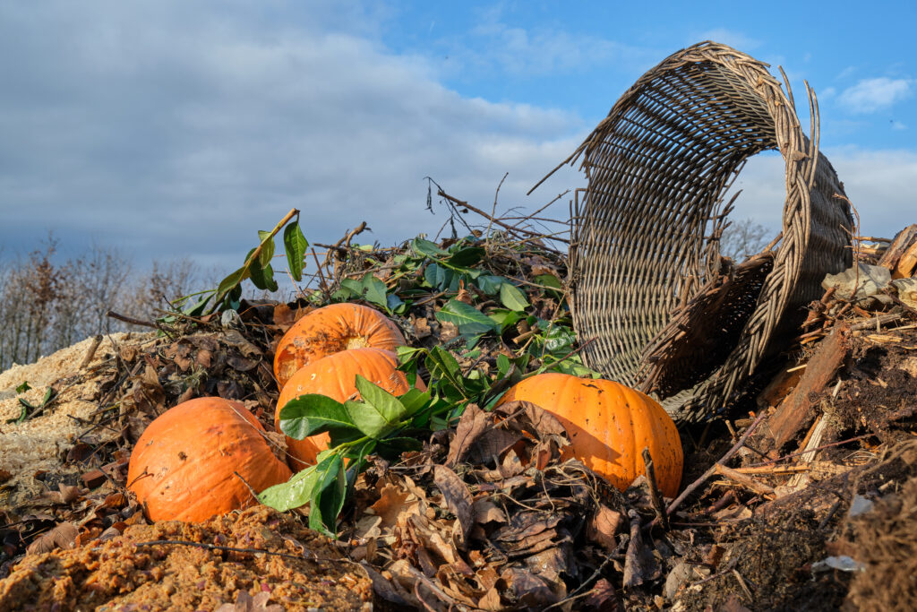 Fresh compost pile and old broken basket lit by the setting sun. Ecology and food waste concept.; 