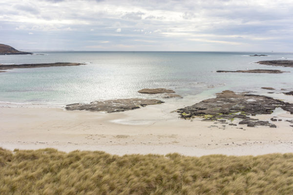 Sandy beach with grass in the foreground. One of the best beaches in Scotland