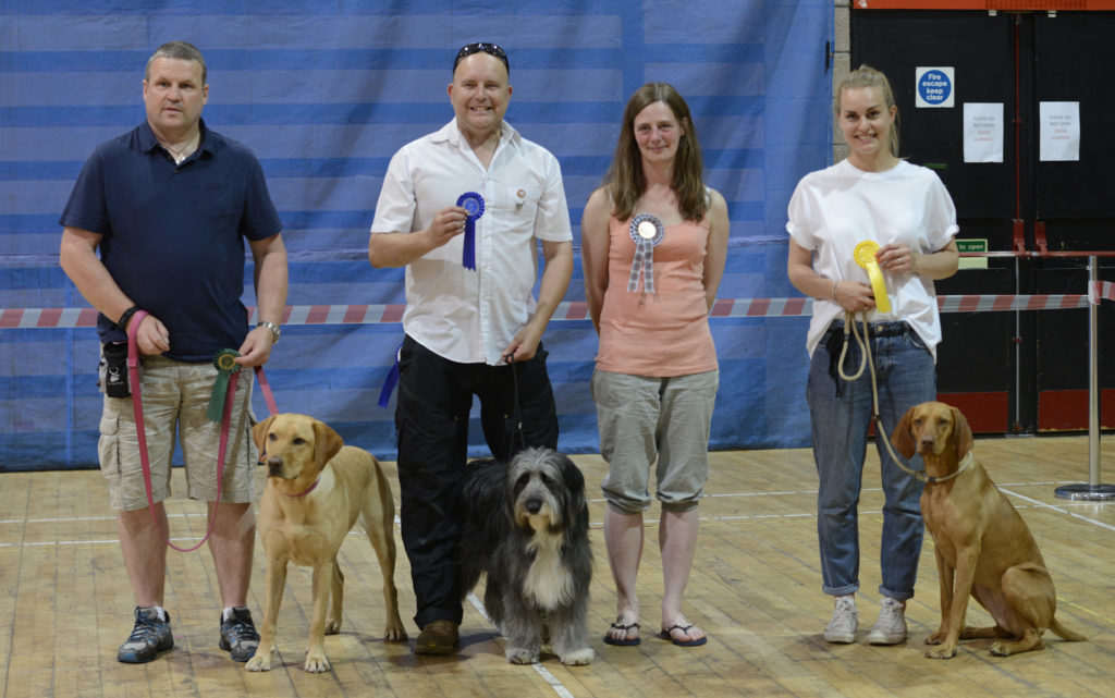 Canine competition in Fort William for annual dog show The Oban Times