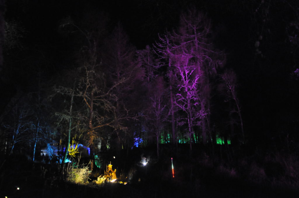 Glencruitten was transformed into an enchanted woodlands for the Winter Festival. 17_T48_WinterFestivaSaturday14