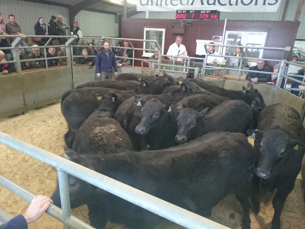 Markets Large turnout for Islay sale The Oban Times