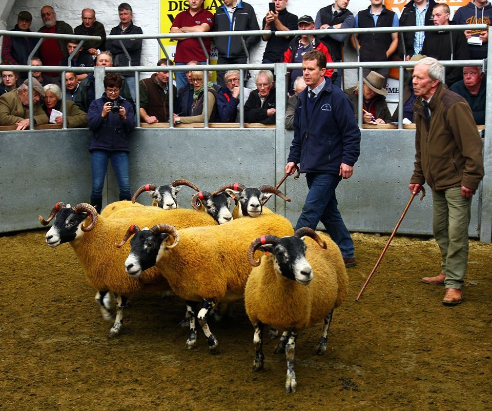 Successful sales at Oban and Dalmally The Oban Times