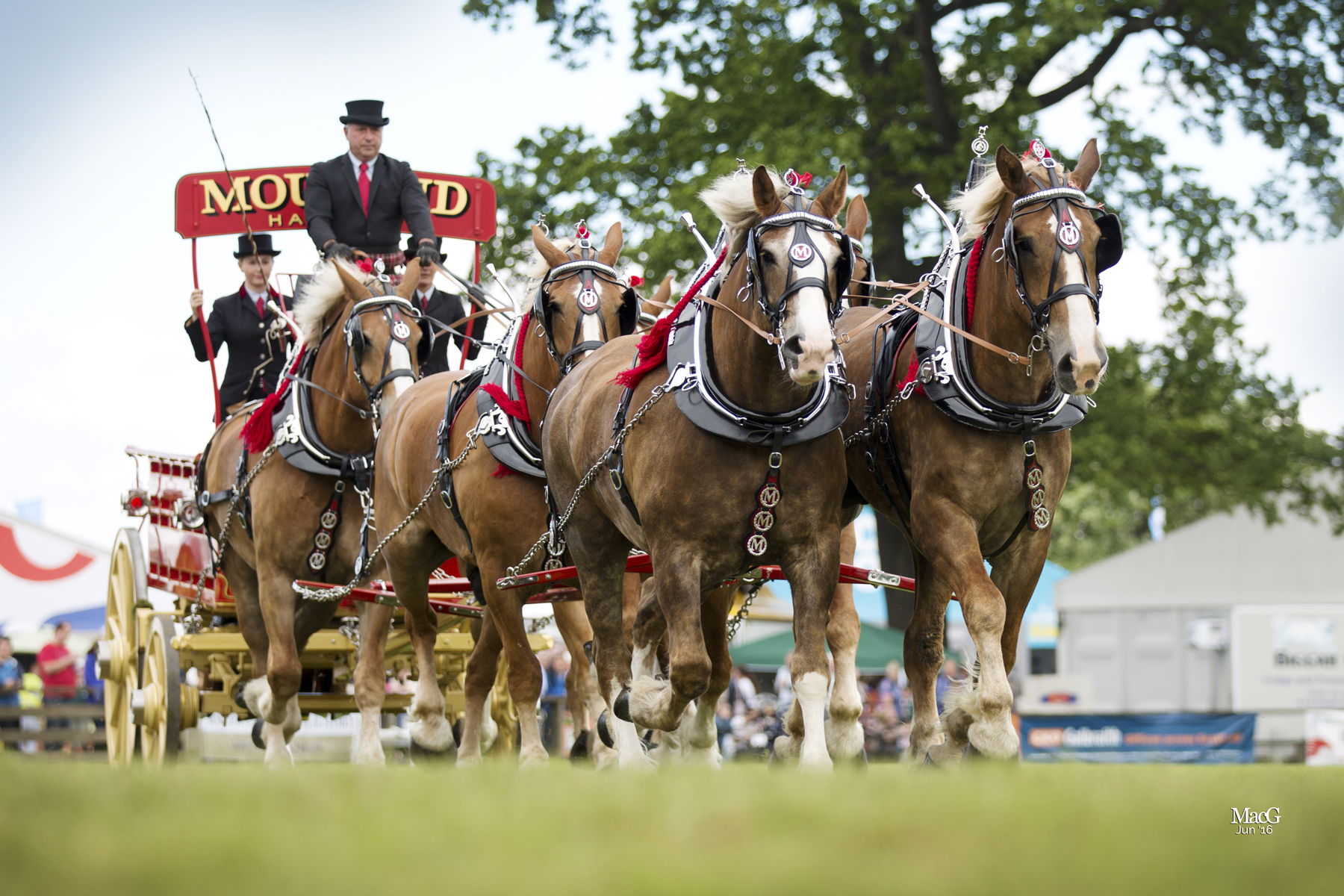 Countdown begins for Royal Highland Show The Oban Times