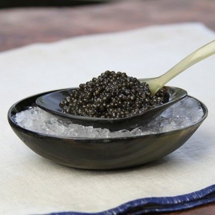 Green light for Scotland's first caviar farm - The Oban Times