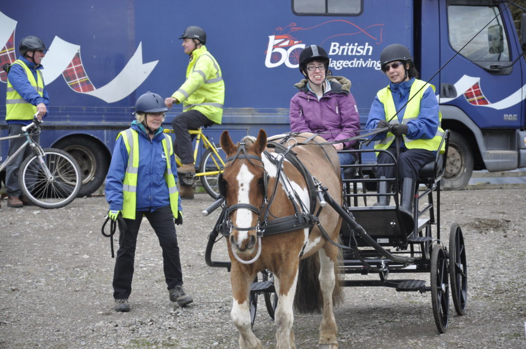 Horse therapy charity pleads for help
