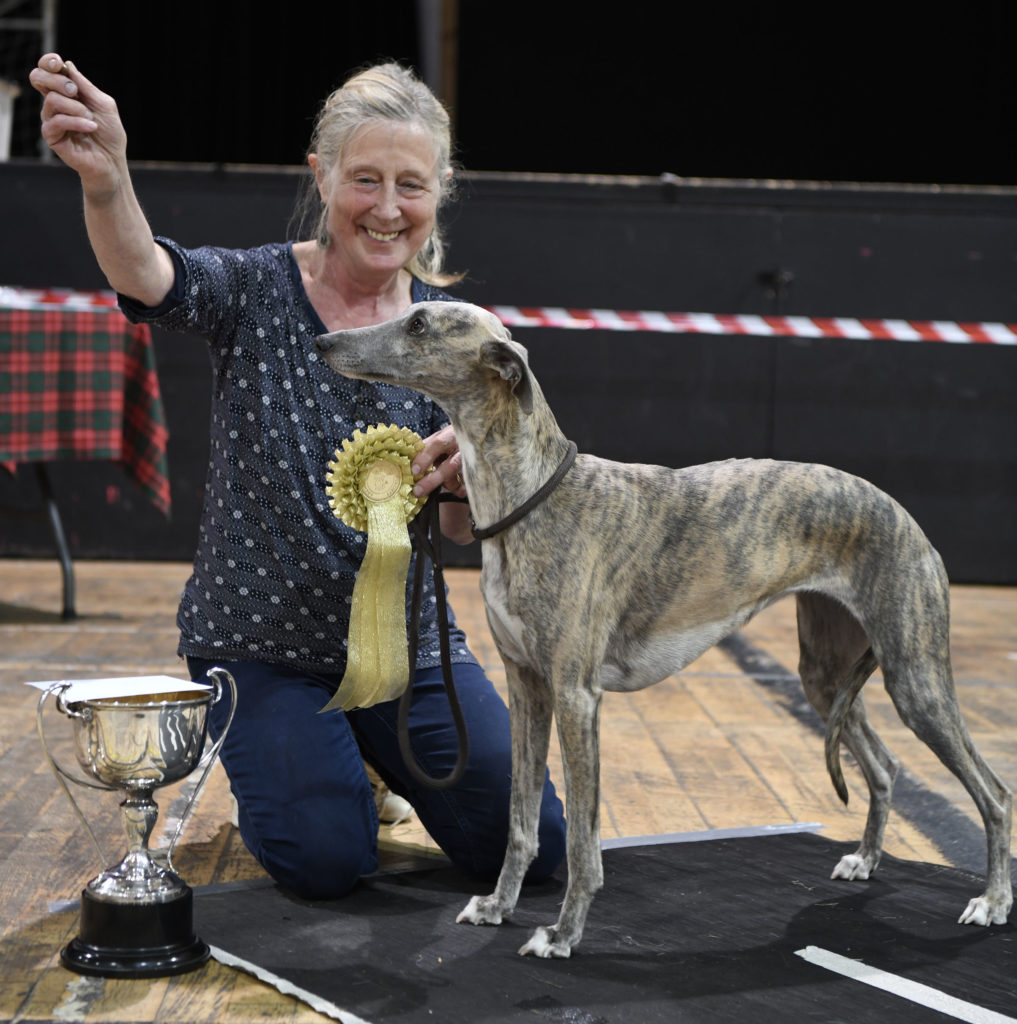 Dogs galore at Nevis Centre for fun dog show - The Oban Times
