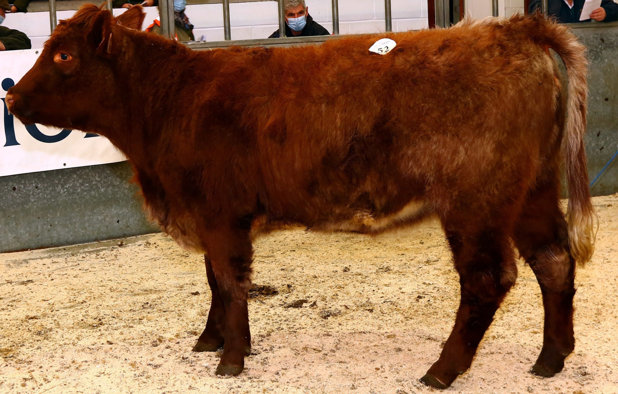 Isle of Luing Production Sale The Oban Times