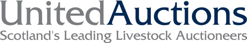 United Auctions logo