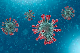 NO_T10_Coronavirus