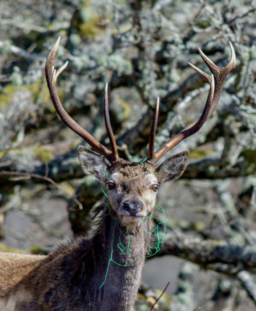 Waste threatens wildlife as litterpick heroes battle on Waste threatens wildlife as litterpick heroes battle on