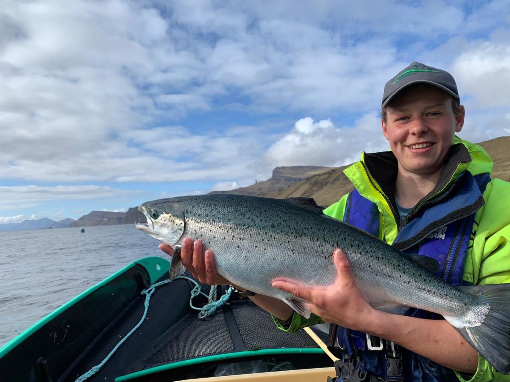 Robert Gray holding one of the first boxes of organic salmon harvested by Organic Sea Harvest - ready to be shipped to the market. NO F24 Robert Gray