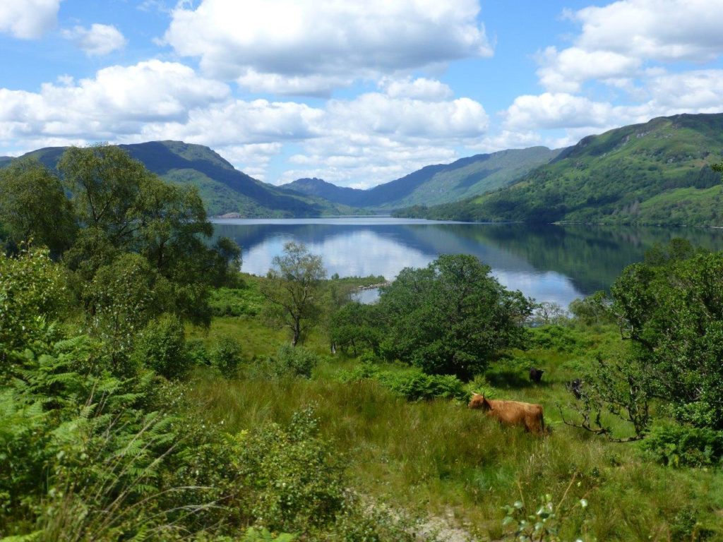 Lochaber and Hebridean crofters invited to discuss tree planting
