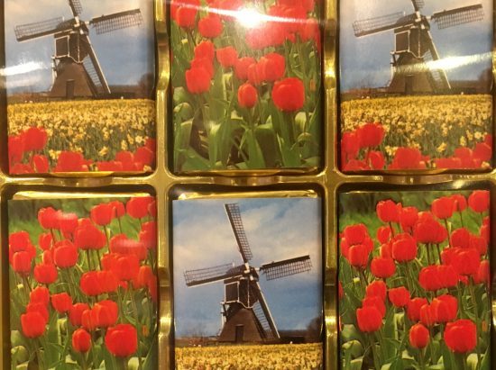 Dutch tulips and windmills, typical sights in the Netherlands