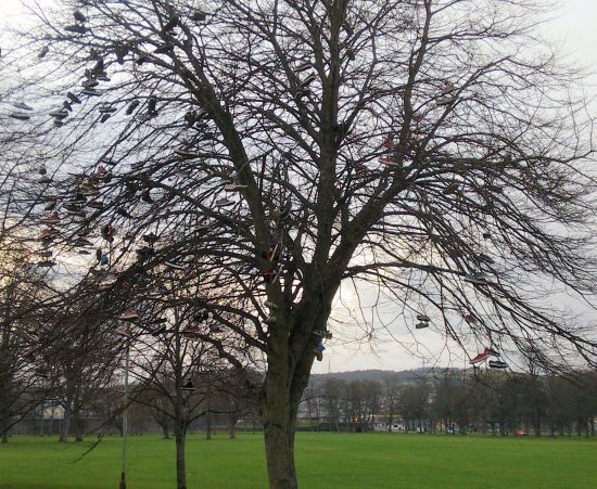 Shoe tree with a difference!