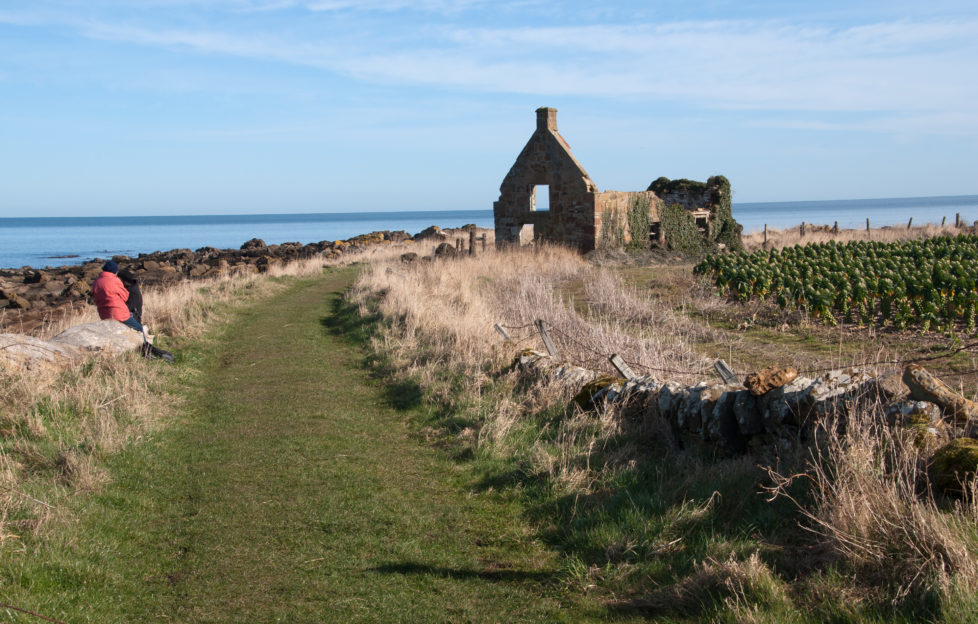 A fantastic stretch of coast at Kingsbarns, Fife