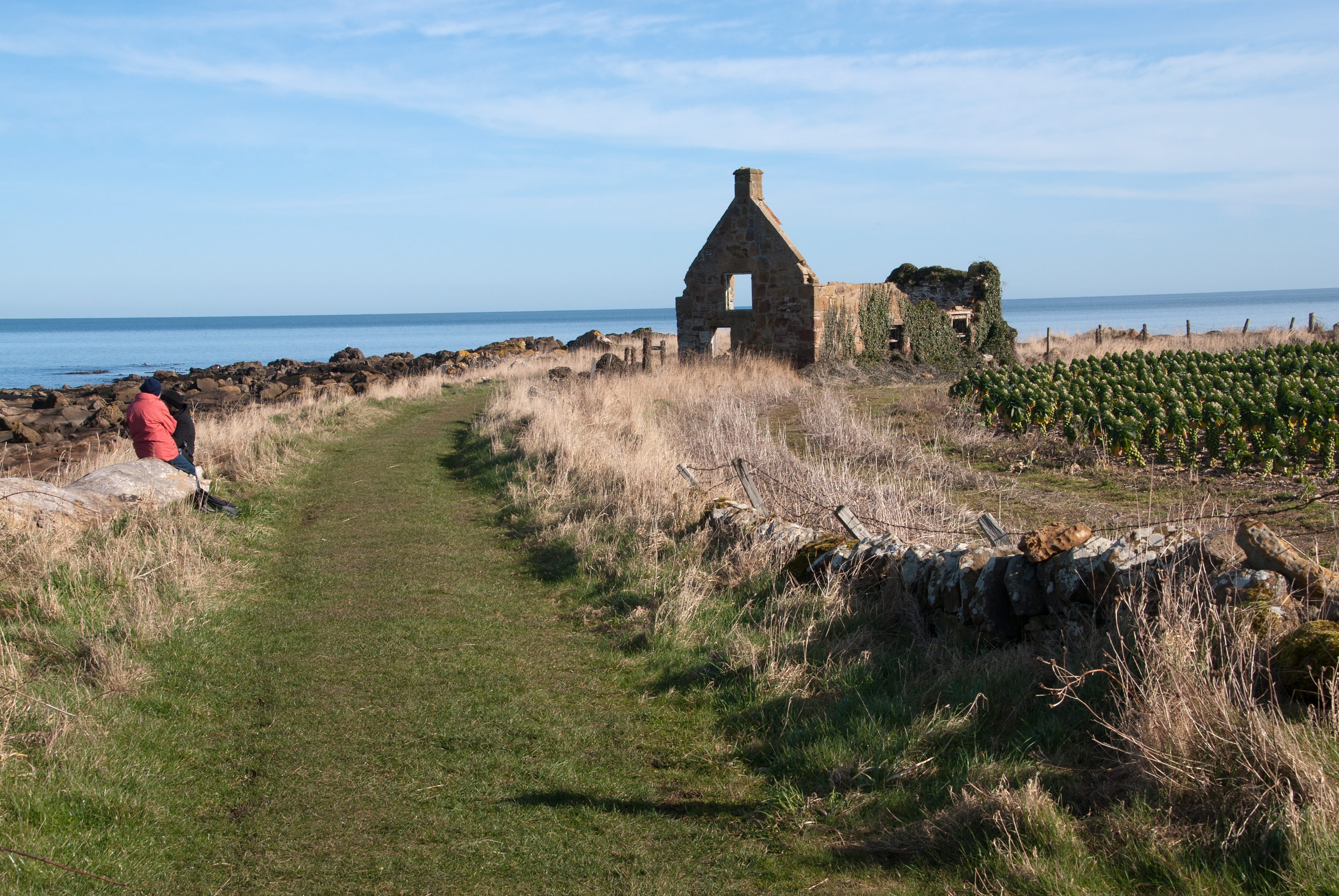 Willie’s View: Spring in Kingsbarns, Fife