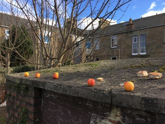 Autumn apples and Easter hot cross buns. How odd!