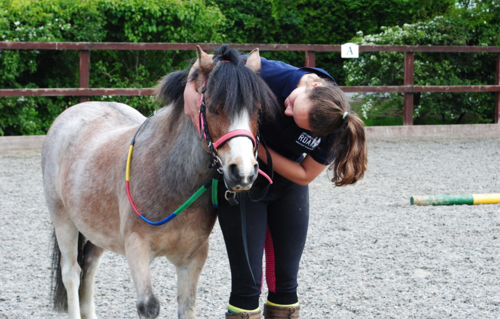 Riding For The Disabled Association