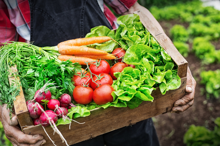 allotment