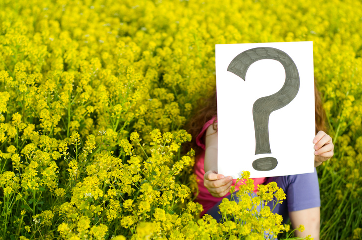 little girl holds a question mark sign in a field of yellow flowers. gardening expert