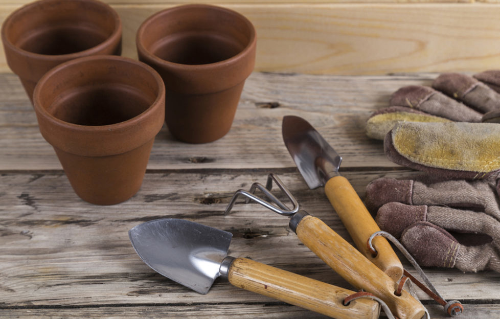 national allotment week