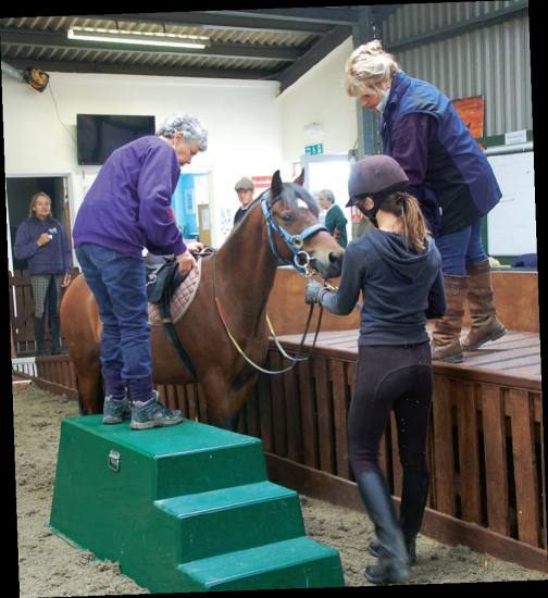 High Flyer - Cotswold RDA's Superstar - The People's Friend