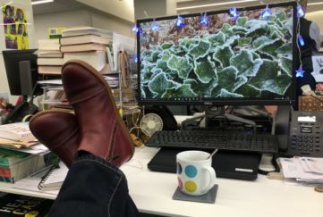 Feet on the desk!