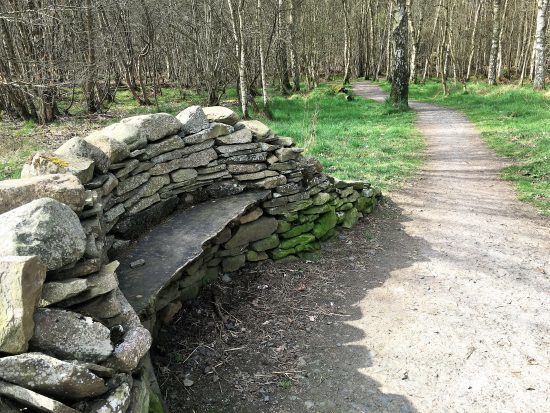 Community woodland